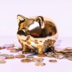 High-Interest Savings Account: Rates, Benefits, Fees, and How to Choose