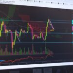 Adopt Me Trading Values: How to Check Pet Values and Make Fair Trades