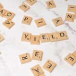 Dividend Stocks: How to Build Passive Income Through Investing